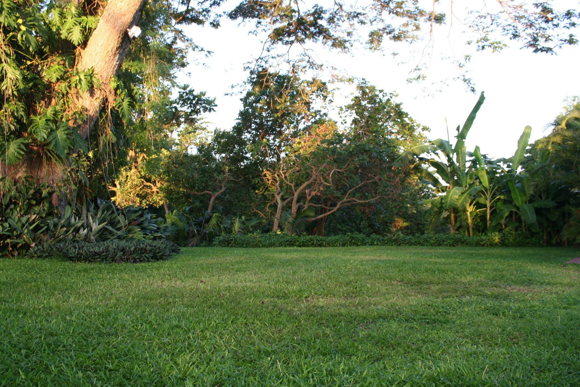 Habitation Du Comte Hotel Sainte-Rose Luaran gambar